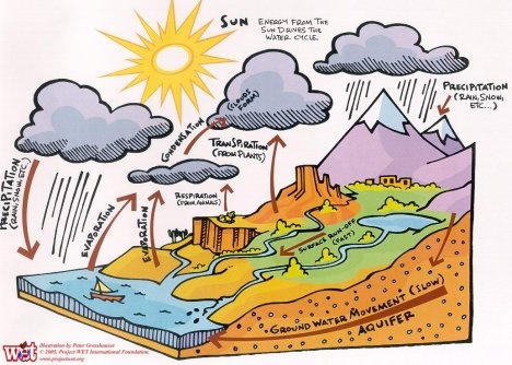 Water Cycle Diagram