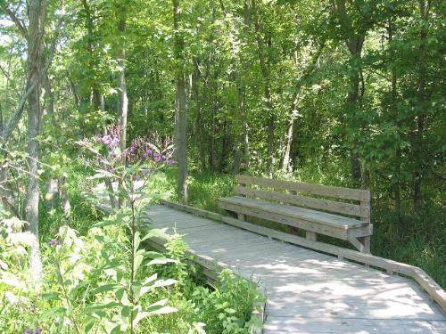 Howell Wetlands