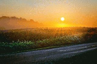 Sunrise in the County