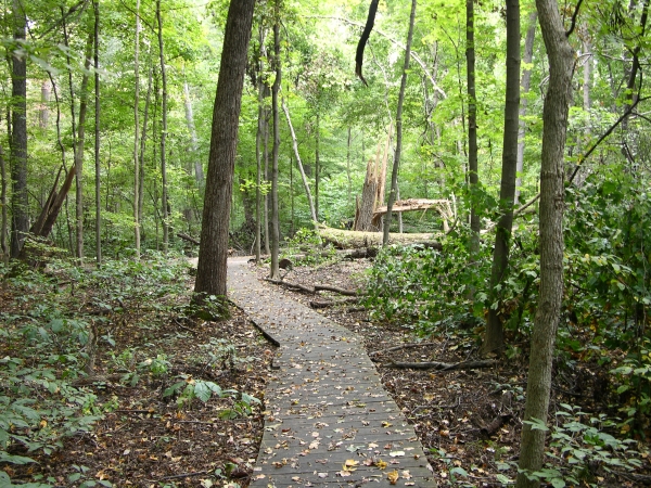 Wesselman Woods Nature Preserve