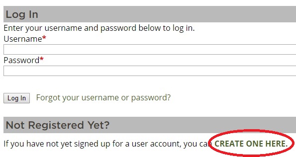 Login Screen