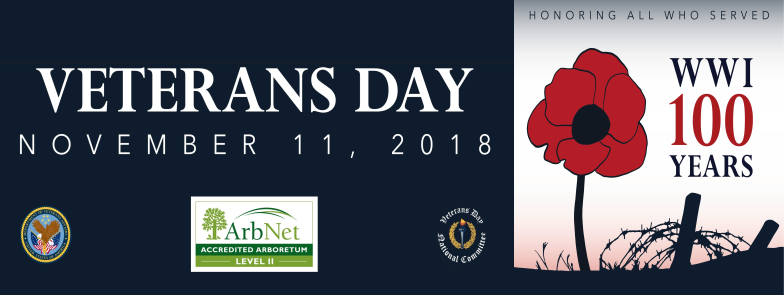 Veterans day weekend deals