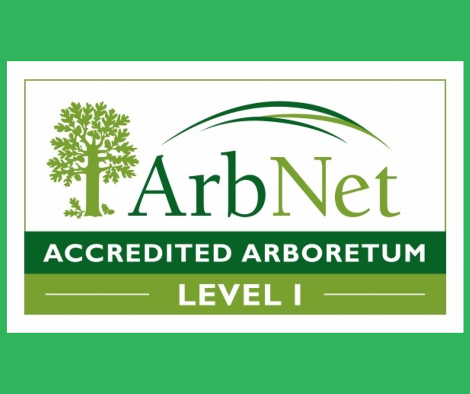 Level 1